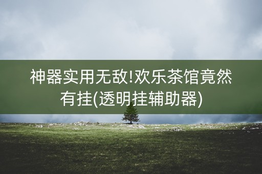 神器实用无敌!欢乐茶馆竟然有挂(透明挂辅助器)