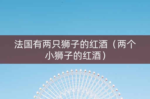 法国有两只狮子的红酒（两个小狮子的红酒）
