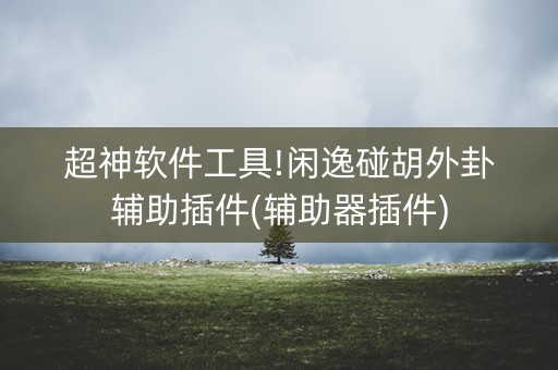 超神软件工具!闲逸碰胡外卦辅助插件(辅助器插件)