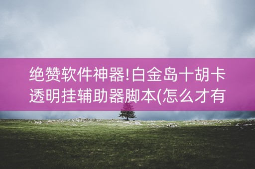 绝赞软件神器!白金岛十胡卡透明挂辅助器脚本(怎么才有好牌)