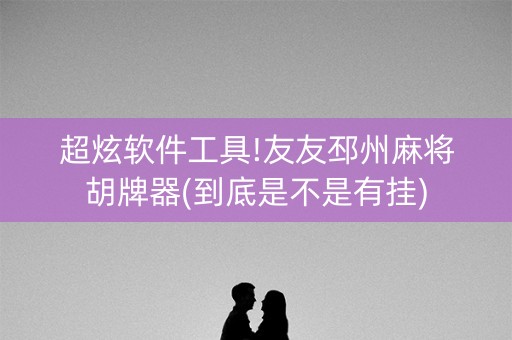 超炫软件工具!友友邳州麻将胡牌器(到底是不是有挂)
