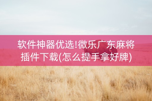 软件神器优选!微乐广东麻将插件下载(怎么提手拿好牌)