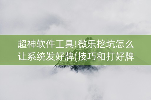超神软件工具!微乐挖坑怎么让系统发好牌(技巧和打好牌方法)