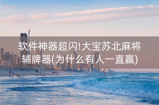 软件神器超闪!大宝苏北麻将辅牌器(为什么有人一直赢)