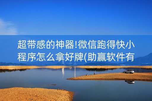 超带感的神器!微信跑得快小程序怎么拿好牌(助赢软件有规律吗)