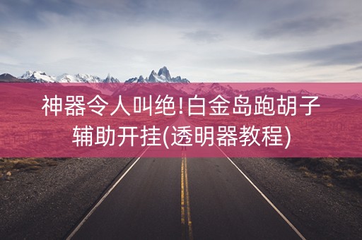 神器令人叫绝!白金岛跑胡子辅助开挂(透明器教程)