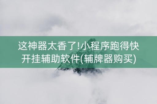 这神器太香了!小程序跑得快开挂辅助软件(辅牌器购买)