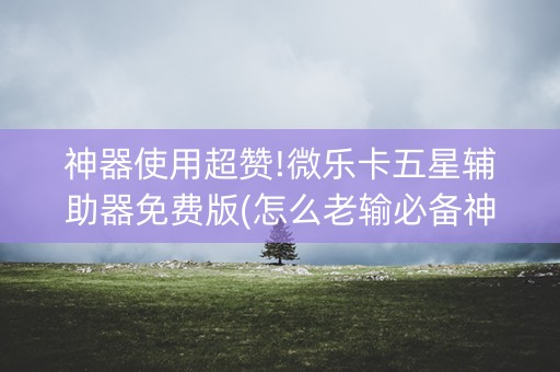 神器使用超赞!微乐卡五星辅助器免费版(怎么老输必备神器)