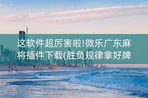 这软件超厉害啦!微乐广东麻将插件下载(胜负规律拿好牌)