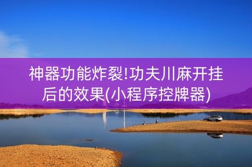 神器功能炸裂!功夫川麻开挂后的效果(小程序控牌器)