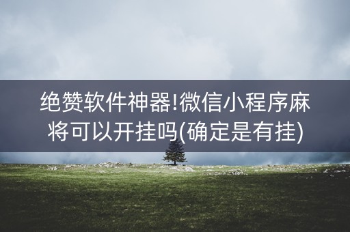 绝赞软件神器!微信小程序麻将可以开挂吗(确定是有挂)