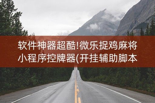 软件神器超酷!微乐捉鸡麻将小程序控牌器(开挂辅助脚本)
