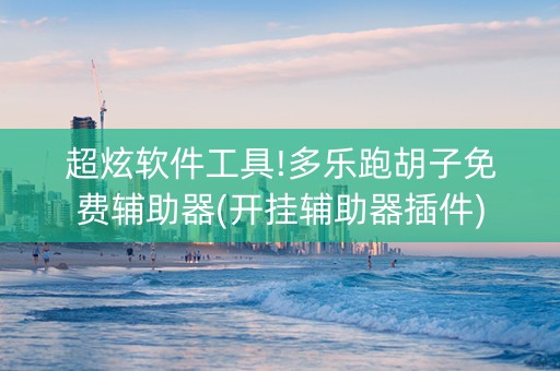 超炫软件工具!多乐跑胡子免费辅助器(开挂辅助器插件)
