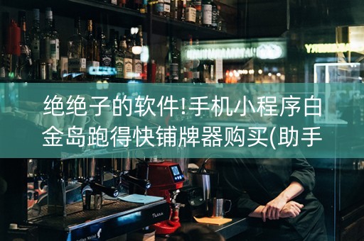 绝绝子的软件!手机小程序白金岛跑得快铺牌器购买(助手神器外辅工具)