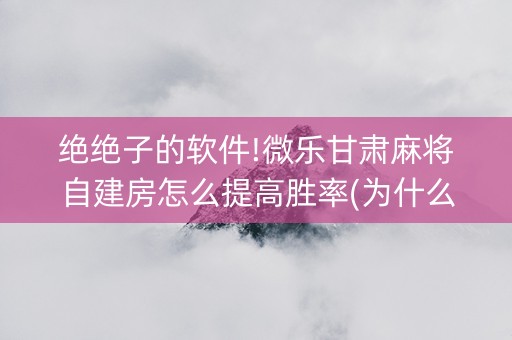 绝绝子的软件!微乐甘肃麻将自建房怎么提高胜率(为什么一直输)