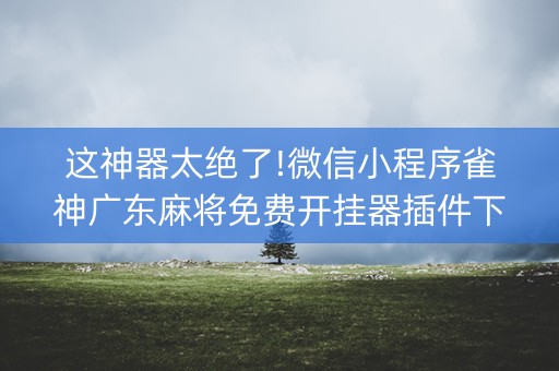 这神器太绝了!微信小程序雀神广东麻将免费开挂器插件下载(输赢设置胡牌规律)