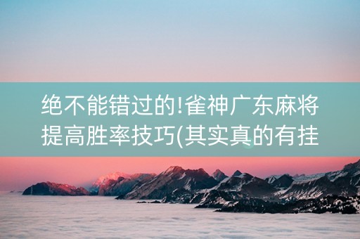 绝不能错过的!雀神广东麻将提高胜率技巧(其实真的有挂)