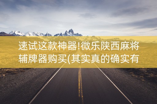 速试这款神器!微乐陕西麻将辅牌器购买(其实真的确实有挂)