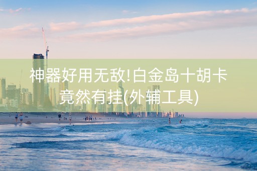 神器好用无敌!白金岛十胡卡竟然有挂(外辅工具)