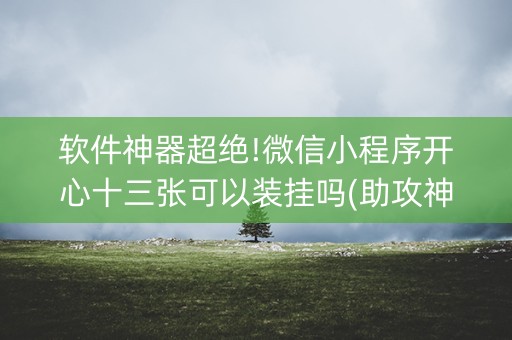 软件神器超绝!微信小程序开心十三张可以装挂吗(助攻神器)