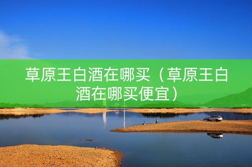 草原王白酒在哪买（草原王白酒在哪买便宜）