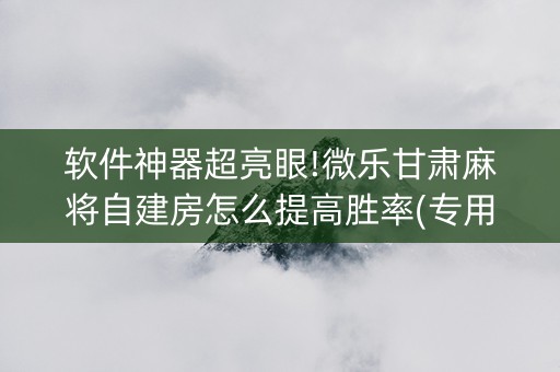 软件神器超亮眼!微乐甘肃麻将自建房怎么提高胜率(专用神器)