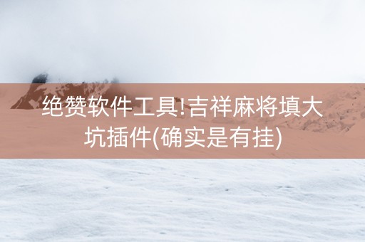 绝赞软件工具!吉祥麻将填大坑插件(确实是有挂)