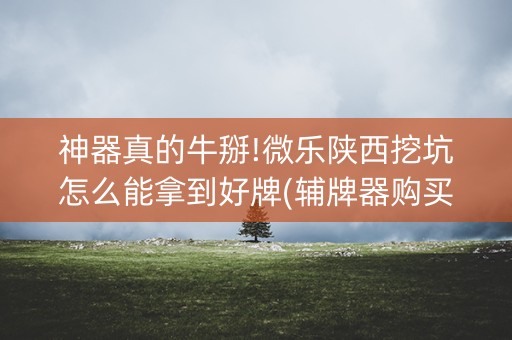 神器真的牛掰!微乐陕西挖坑怎么能拿到好牌(辅牌器购买)
