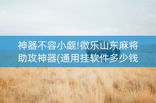 神器不容小觑!微乐山东麻将助攻神器(通用挂软件多少钱)