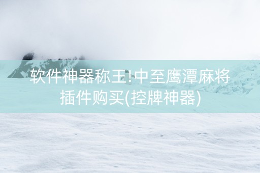 软件神器称王!中至鹰潭麻将插件购买(控牌神器)