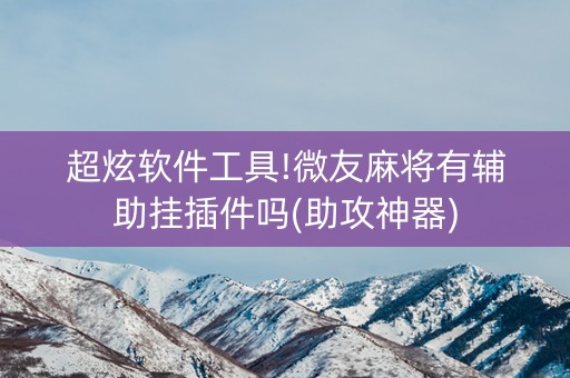 超炫软件工具!微友麻将有辅助挂插件吗(助攻神器)