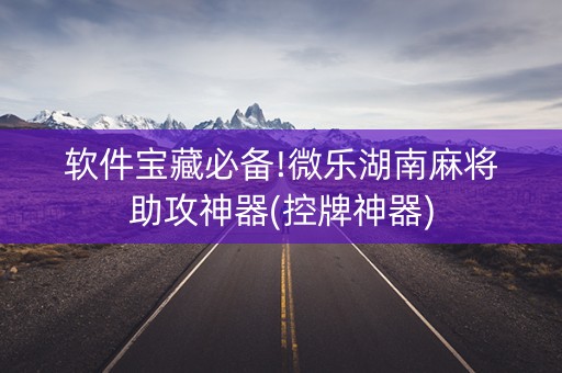 软件宝藏必备!微乐湖南麻将助攻神器(控牌神器)