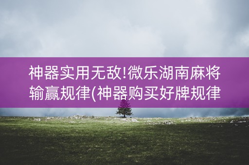 神器实用无敌!微乐湖南麻将输赢规律(神器购买好牌规律)