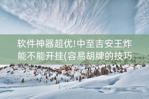 软件神器超优!中至吉安王炸能不能开挂(容易胡牌的技巧)