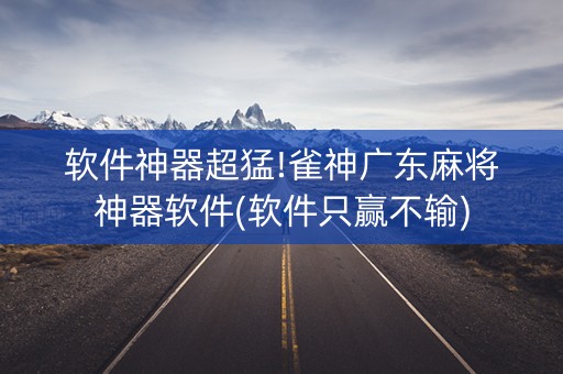 软件神器超猛!雀神广东麻将神器软件(软件只赢不输)