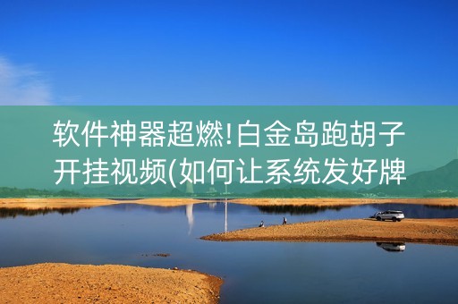 软件神器超燃!白金岛跑胡子开挂视频(如何让系统发好牌)