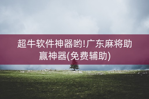超牛软件神器哟!广东麻将助赢神器(免费辅助)