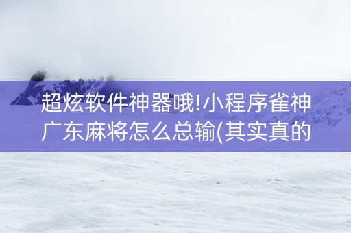 超炫软件神器哦!小程序雀神广东麻将怎么总输(其实真的有挂)