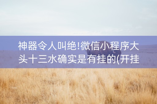 神器令人叫绝!微信小程序大头十三水确实是有挂的(开挂辅助器插件)