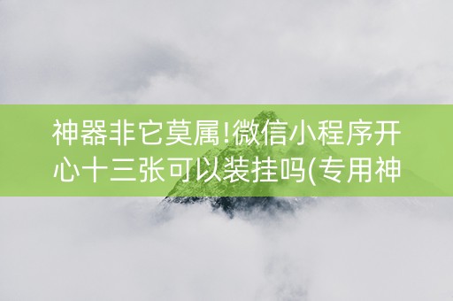 神器非它莫属!微信小程序开心十三张可以装挂吗(专用神器胡牌技巧)