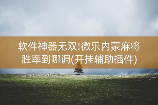 软件神器无双!微乐内蒙麻将胜率到哪调(开挂辅助插件)