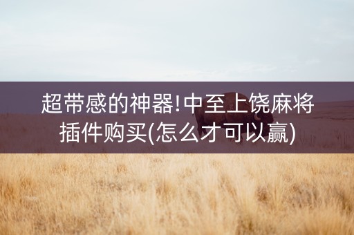 超带感的神器!中至上饶麻将插件购买(怎么才可以赢)