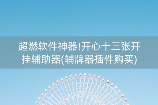 超燃软件神器!开心十三张开挂辅助器(辅牌器插件购买)