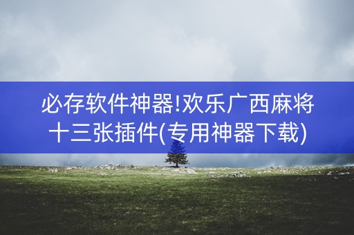 必存软件神器!欢乐广西麻将十三张插件(专用神器下载)