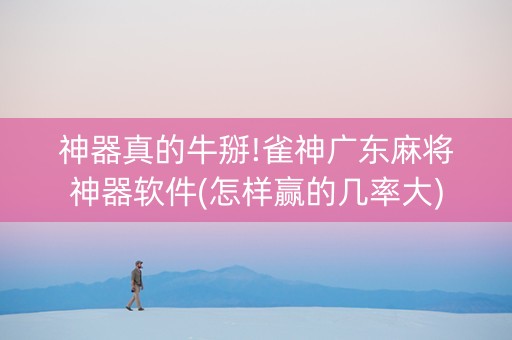 神器真的牛掰!雀神广东麻将神器软件(怎样赢的几率大)