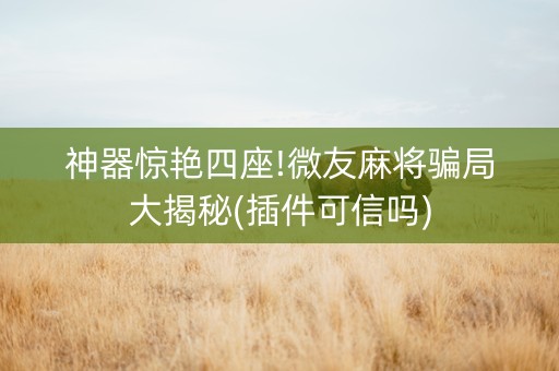 神器惊艳四座!微友麻将骗局大揭秘(插件可信吗)