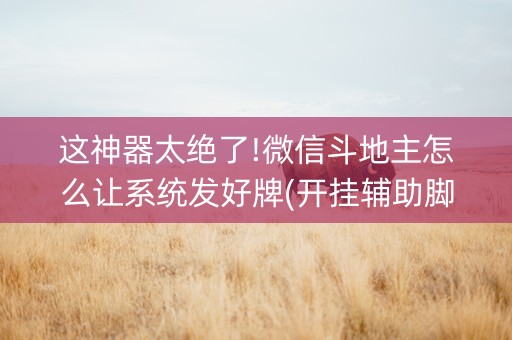 这神器太绝了!微信斗地主怎么让系统发好牌(开挂辅助脚本)