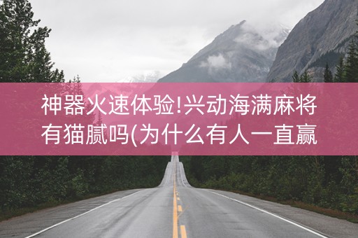 神器火速体验!兴动海满麻将有猫腻吗(为什么有人一直赢)