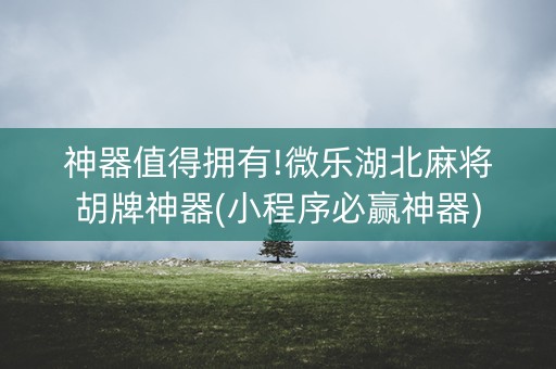 神器值得拥有!微乐湖北麻将胡牌神器(小程序必赢神器)