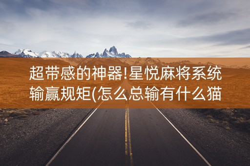 超带感的神器!星悦麻将系统输赢规矩(怎么总输有什么猫腻)